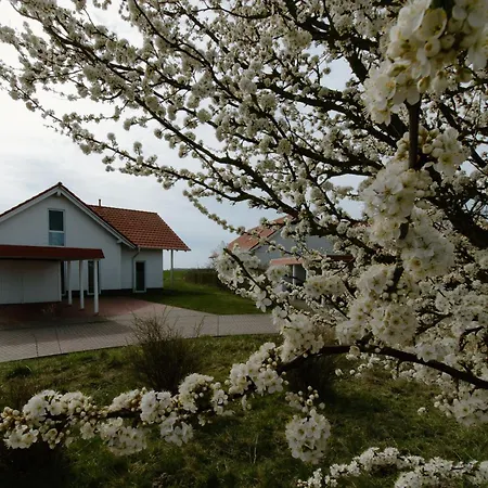 Adlerhorst * Trent